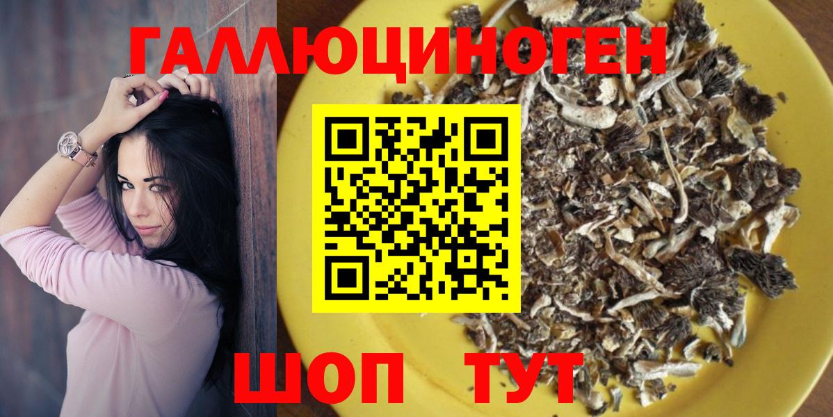 Галлюциногенные грибы Psilocybine cubensis Сергиев Посад