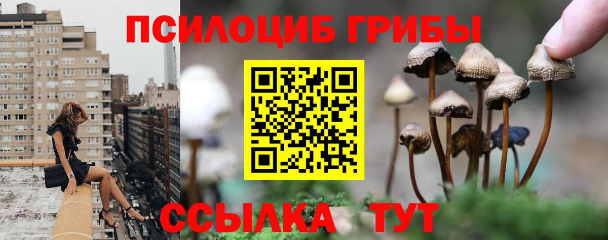 Псилоцибиновые грибы прущие грибы  Вход с VPN  Сергиев Посад 